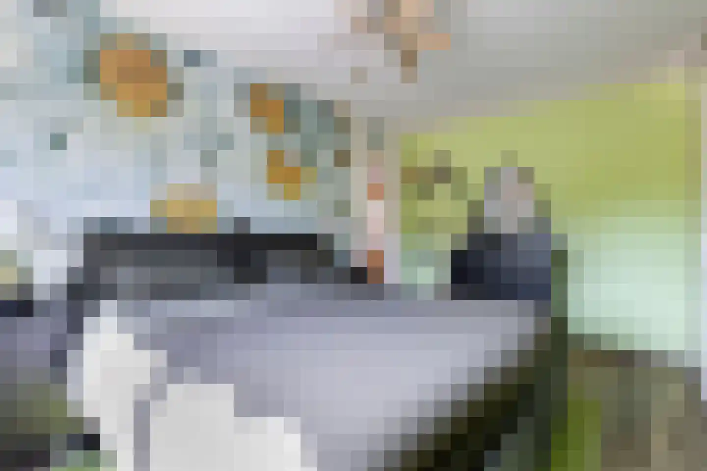Steenuil 23 Heerhugowaard thumbnail 21