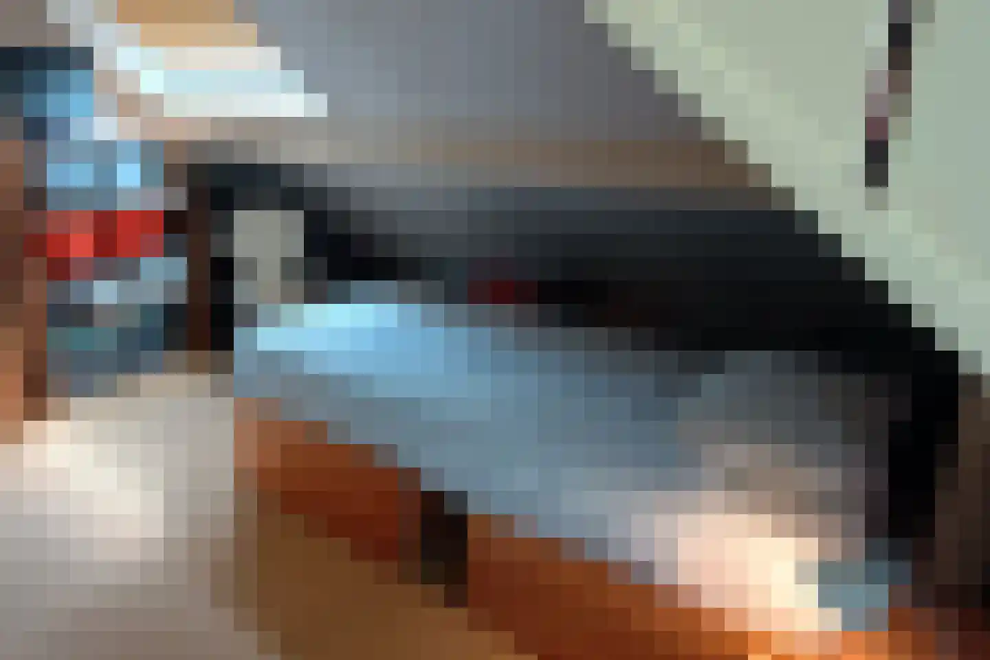 Steenuil 23 Heerhugowaard thumbnail 31