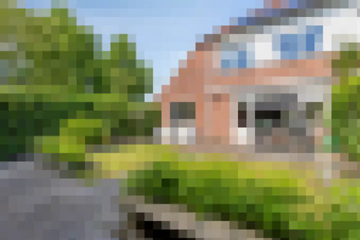Steenuil 23 Heerhugowaard thumbnail 35