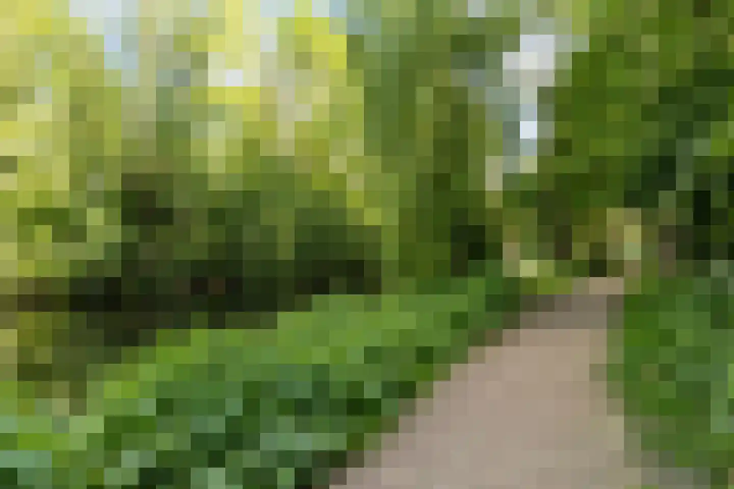 Steenuil 23 Heerhugowaard thumbnail 40