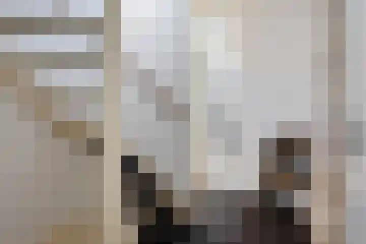Steenuil 24 Emmen thumbnail 12