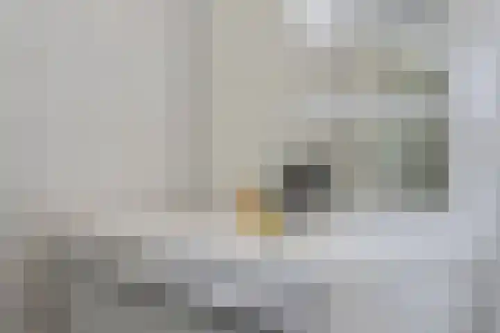Steenuil 24 Emmen thumbnail 18