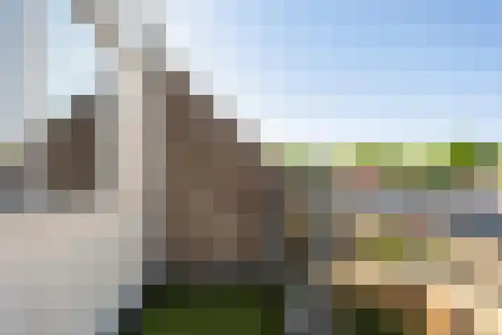 Steenuil 24 Emmen thumbnail 22