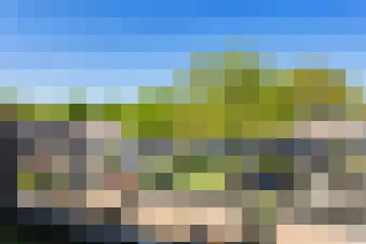 Steenuil 24 Emmen thumbnail 23