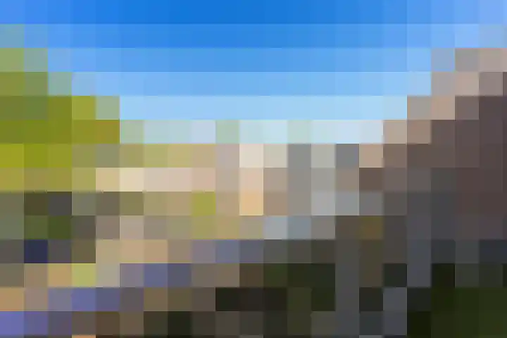 Steenuil 24 Emmen thumbnail 24