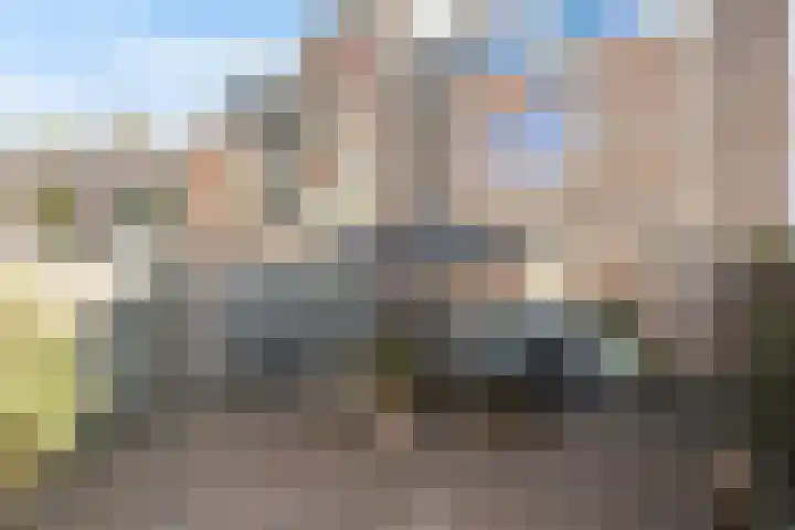 Steenuil 24 Emmen thumbnail 26