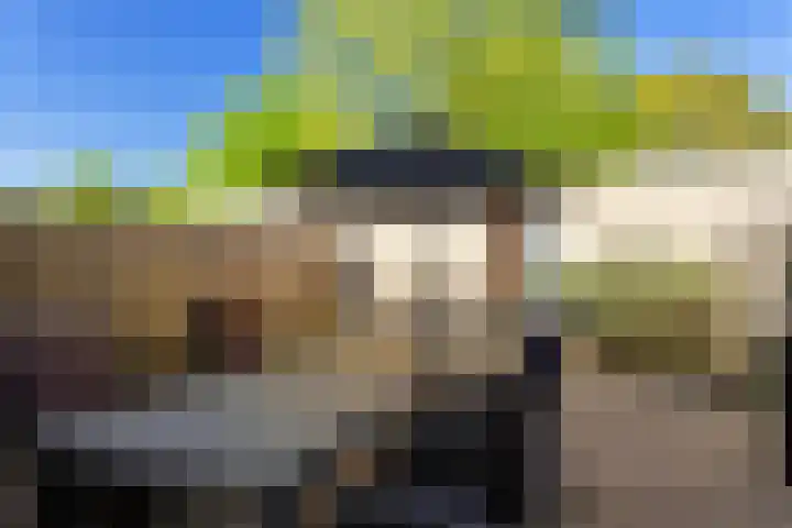 Steenuil 24 Emmen thumbnail 27