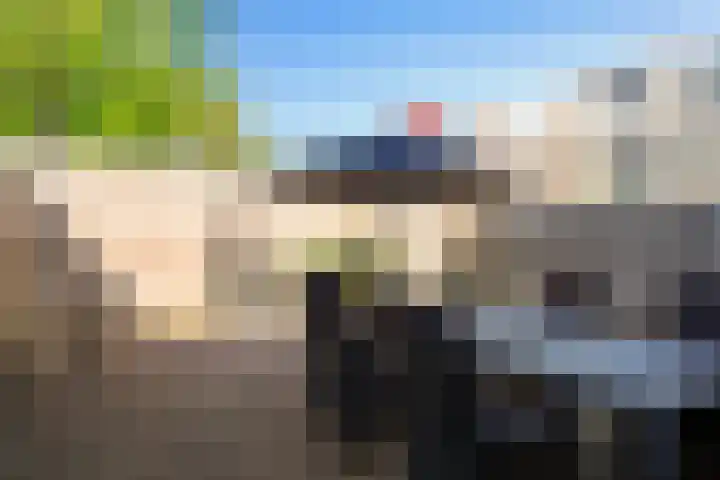 Steenuil 24 Emmen thumbnail 28