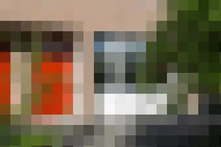 Steenuil 24 Emmen thumbnail 30