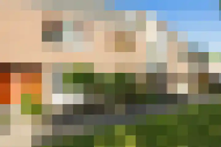 Steenuil 24 Emmen thumbnail 31