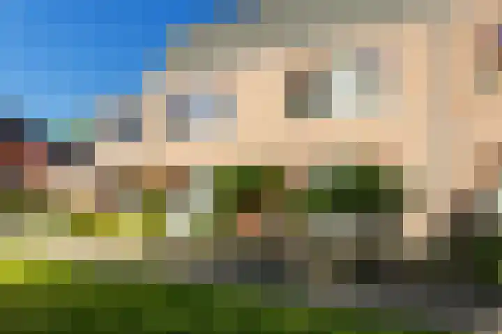 Steenuil 24 Emmen thumbnail 32
