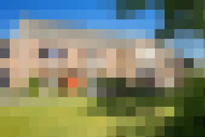Steenuil 24 Emmen thumbnail 33