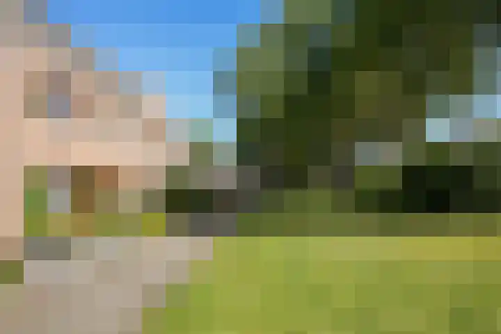Steenuil 24 Emmen thumbnail 34