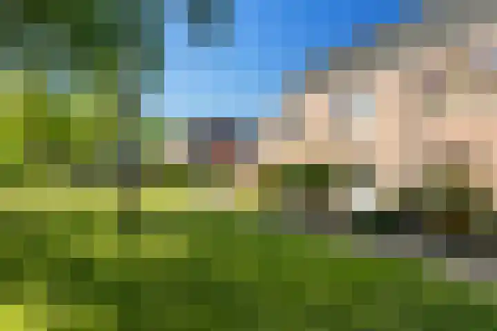 Steenuil 24 Emmen thumbnail 35