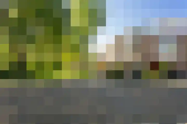 Steenuil 24 Emmen thumbnail 36