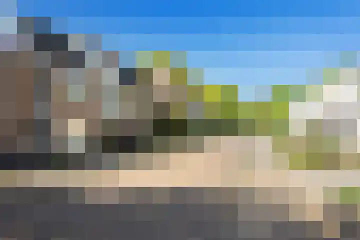 Steenuil 24 Emmen thumbnail 37