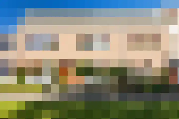 Steenuil 24 Emmen thumbnail 38