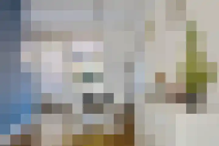 Steenuil 24 Emmen thumbnail 4
