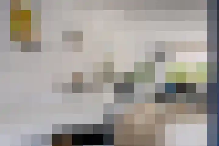 Steenuil 24 Emmen thumbnail 5