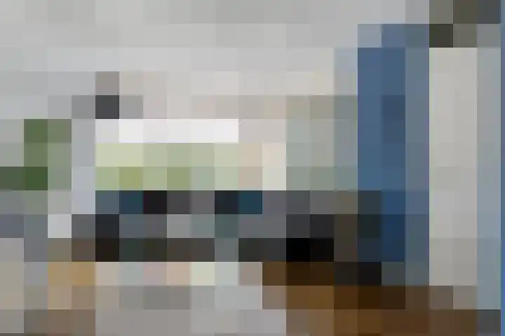 Steenuil 24 Emmen thumbnail 6