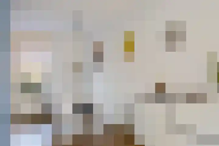 Steenuil 24 Emmen thumbnail 8