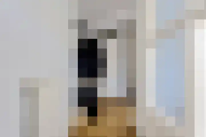 Steenuil 24 Emmen thumbnail 9