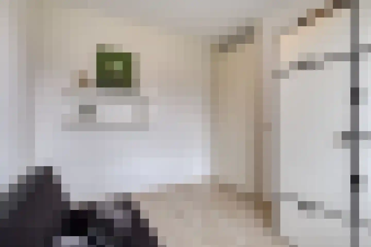 Steenuil 34 Eijsden thumbnail 21