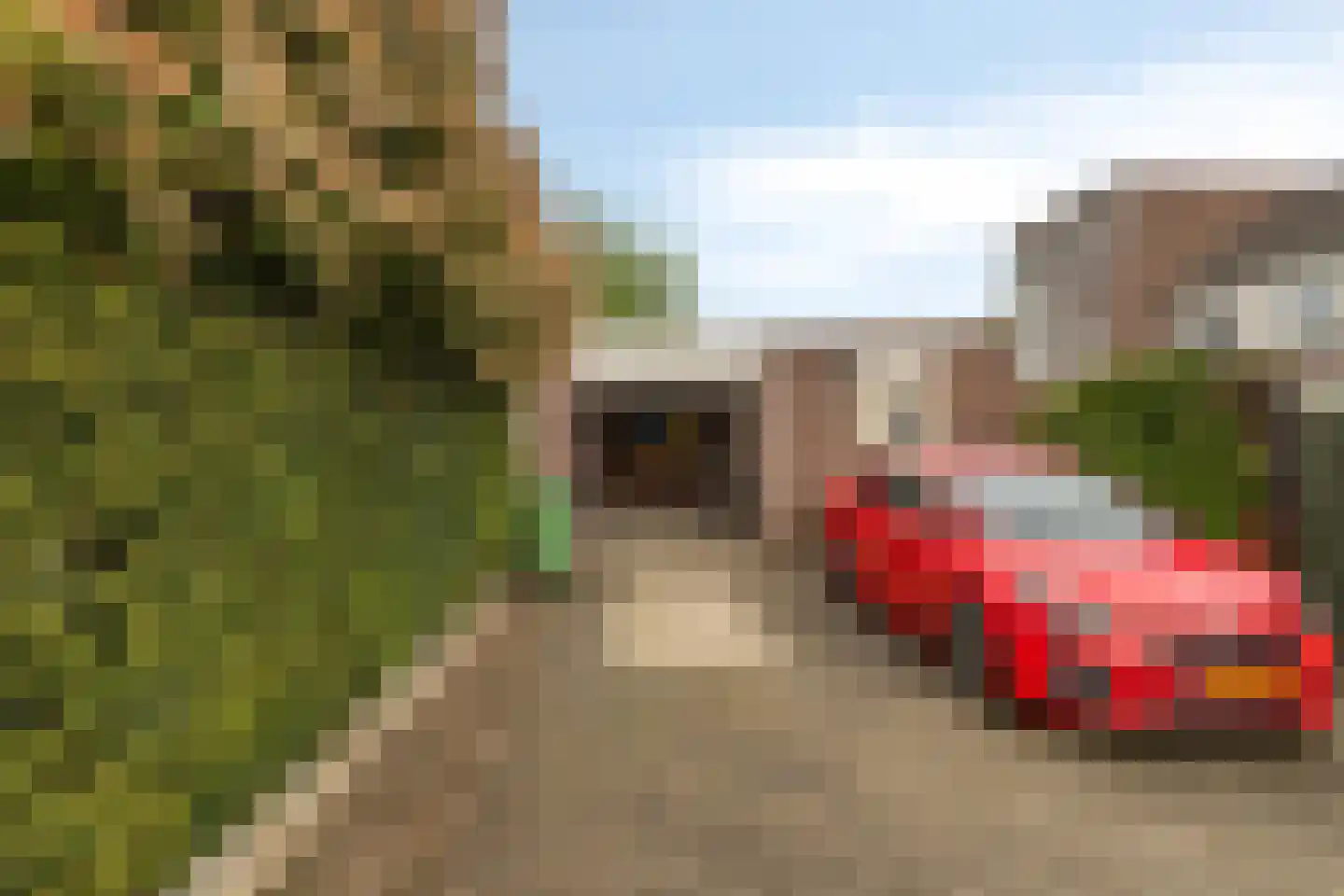 Steenuil 34 Eijsden thumbnail 33