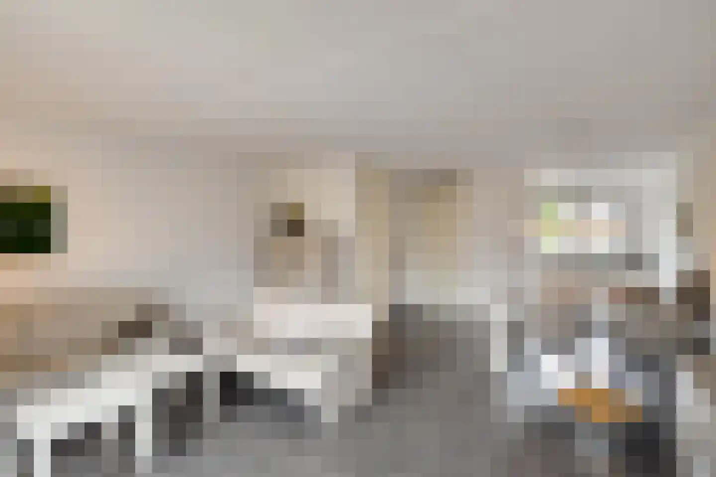 Steenuil 34 Eijsden thumbnail 7