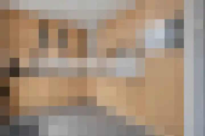 Steenuil 37 Ommen thumbnail 11