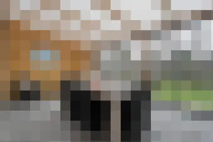 Steenuil 37 Ommen thumbnail 14