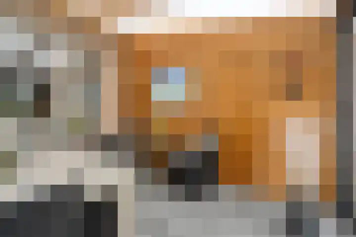 Steenuil 37 Ommen thumbnail 17