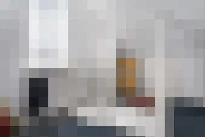 Steenuil 37 Ommen thumbnail 33