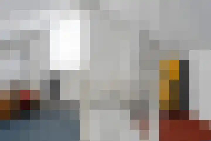 Steenuil 37 Ommen thumbnail 36