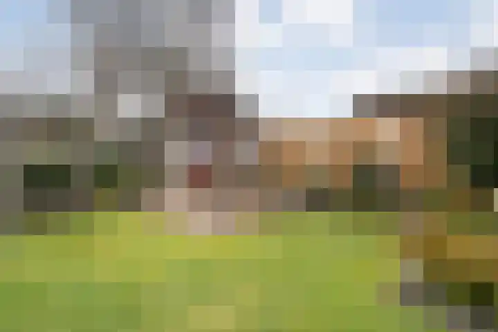 Steenuil 37 Ommen thumbnail 39