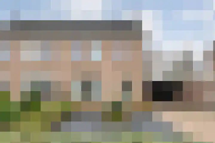 Steenuil 37 Ommen thumbnail 4