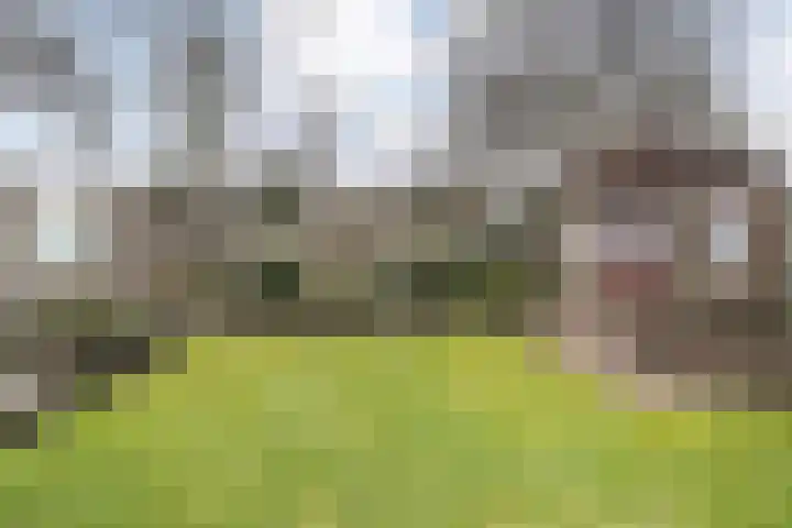 Steenuil 37 Ommen thumbnail 40