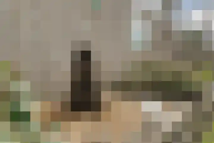 Steenuil 37 Ommen thumbnail 41