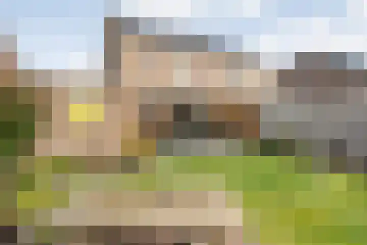 Steenuil 37 Ommen thumbnail 43