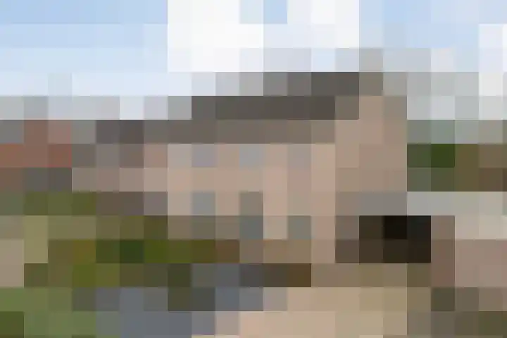 Steenuil 37 Ommen thumbnail 46