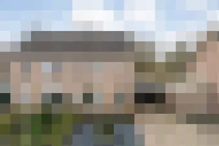 Steenuil 37 Ommen thumbnail 47