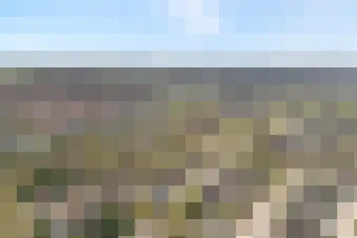 Steenuil 37 Ommen thumbnail 48