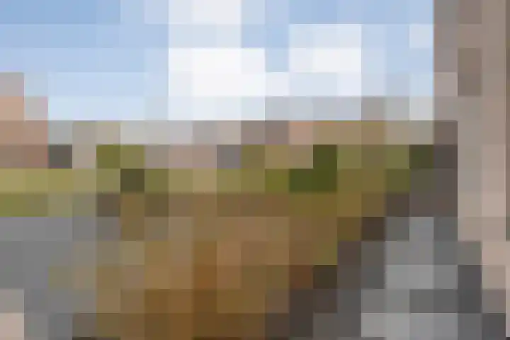 Steenuil 37 Ommen thumbnail 51