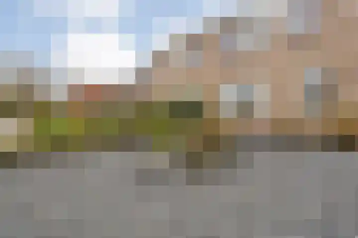 Steenuil 37 Ommen thumbnail 52