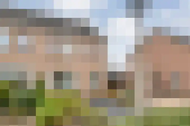Steenuil 37 Ommen thumbnail 53