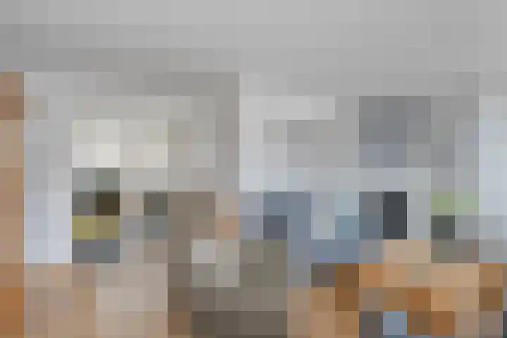 Steenuil 37 Ommen thumbnail 6