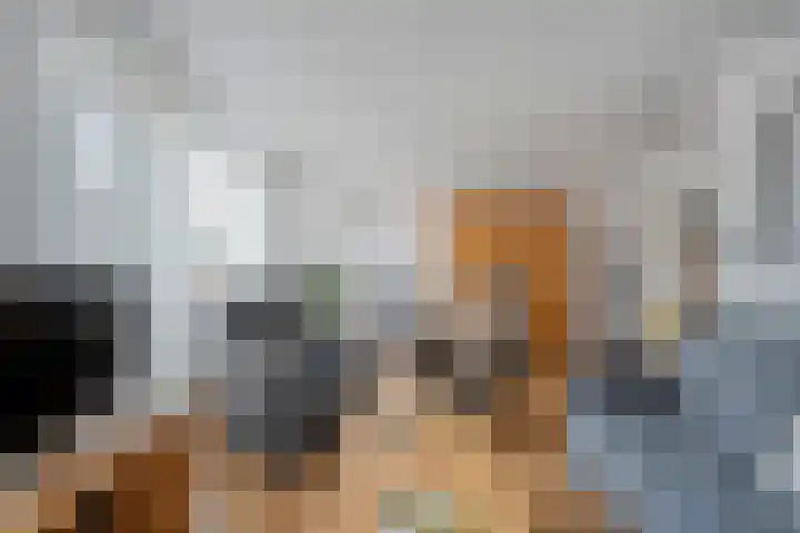 Steenuil 37 Ommen thumbnail 7