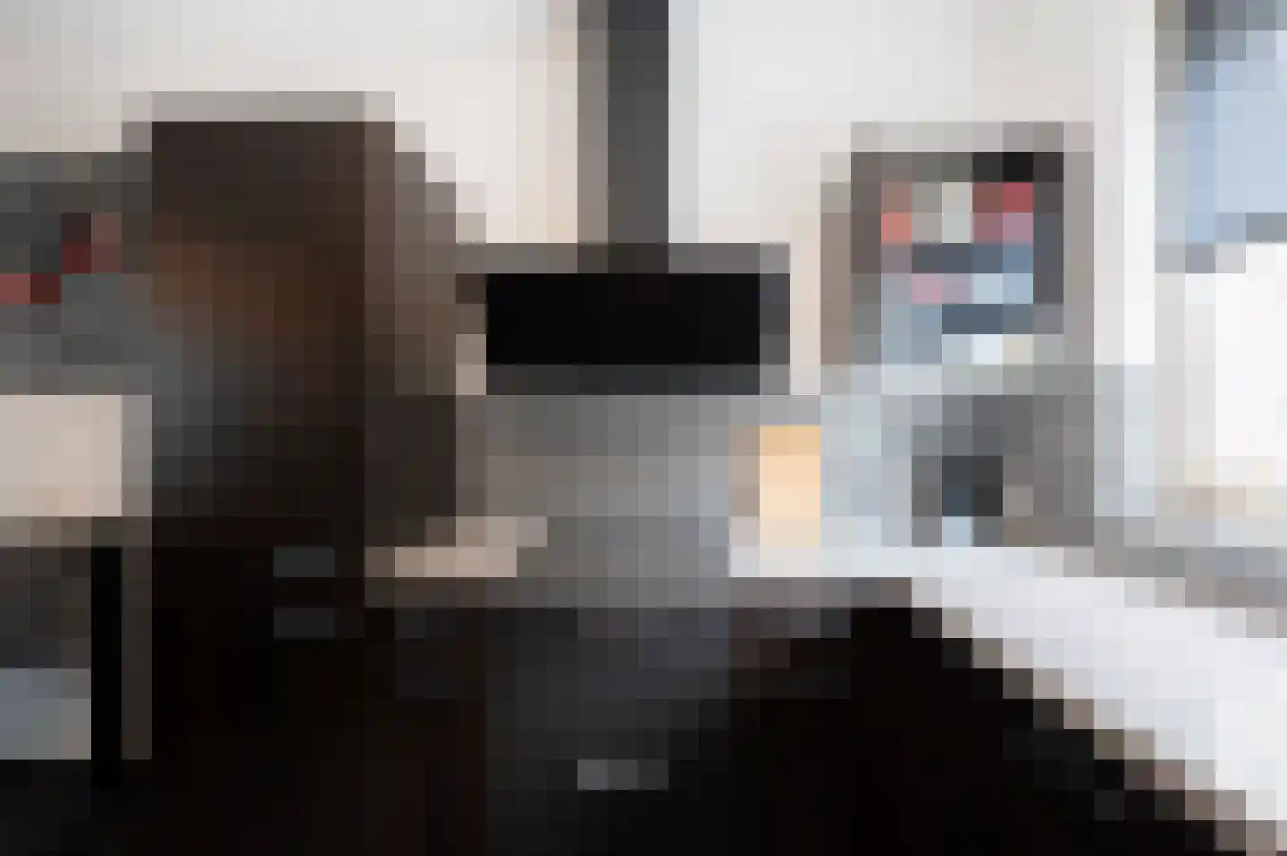 Steenuil 4 Bosschenhoofd thumbnail 16
