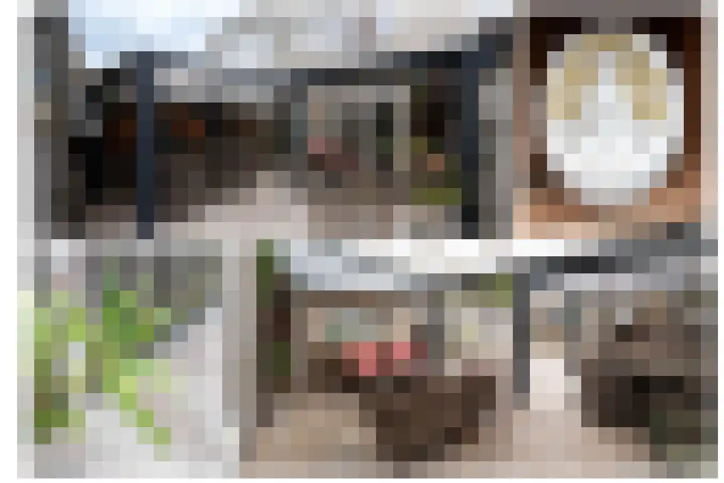 Steenuil 4 Bosschenhoofd thumbnail 17