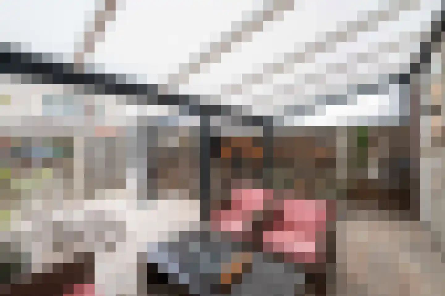 Steenuil 4 Bosschenhoofd thumbnail 19